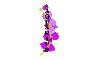 Floral Aquarius Crafts and Designs Review