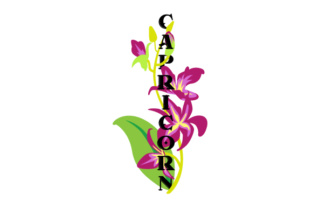 Floral Capricorn: A Versatile Design for Blogs and Digital Content