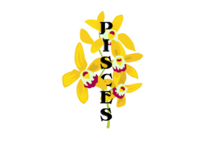 Floral Pisces Embroidery Design Review