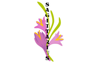 Floral Sagittarius Embroidery Design Review