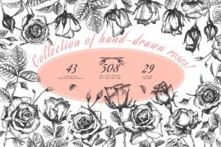Hand Drawn Sketch Roses for Local Business Branding